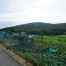 능원4리 Daum카페