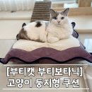 둥지세탁 | [부티캣 부티보타닉] 고양이 취향저격 둥지형 방석 쿠션 리뷰