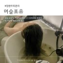 포유 더 프라이빗 | 머슬포유 창원두피관리 후기｜상남동 1:1 프라이빗 두피케어
