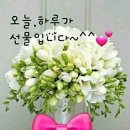 소례 이미지