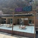 제8구경길 새이령 가는길 | 강릉 벚꽃 구경 여행 실시간 후기｜지금 가도 예쁜 벚꽃 명소 총정리!