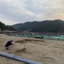 왈가왈부애견 이미지