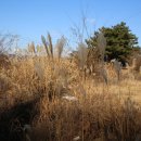 원전 약수터 이미지