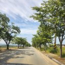 경주애견펜션 해피데이해피독 | 경북 경주 애견펜션 : 해피데이해피독 가성비 애견동반 여행 내돈내산