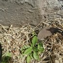 봉숙이네바닷가 민박 이미지