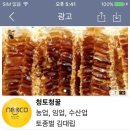 낙영농장 네이버블로그