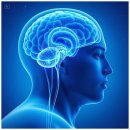 시그니아독일보청기서초센터 이미지