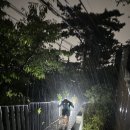 대덕문화전당 지하주차장 화장실 이미지