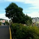 현동초등학교(병설유치원) 이미지