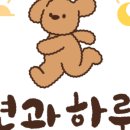 하루애견미용