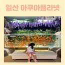 아쿠아플라넷 일산 | 고양 일산 아쿠아플라넷 관람 후기 :)
