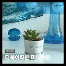 감성미니 | 다육이화분 추천 포포모리 미니화분 감성화분 각인커스텀 후기