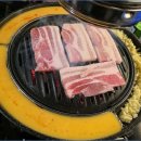 신마포갈매기 - 화성시 반송동 | 신마포갈매기