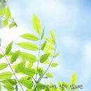 탄천초등학교 이미지