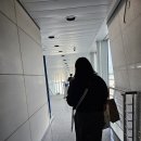 S0741 티스토리