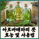 아로마 테라피 이미지