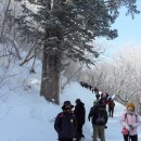 태백산 - 김포시 양곡3로1번길 26-5 | 태백산