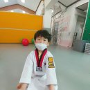 롯데태권도체육관 이미지