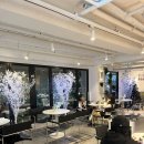 강남역 예쁜 카페 추천! 퍼스트커피랩 강남점 후기