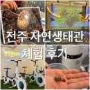 5258 | 비오는날 전주 아이와 가볼만한곳 전주 자연생태관, 실내 체험 가득 무료 관람 후기