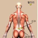 한의학연·하버드의대 연구팀 "침 치료 효과, 뇌가 안다" 이미지