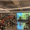 에스투짐 이미지