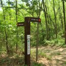 달성보 녹색길 이미지