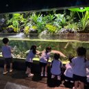 7월 23일 롯데월드 아쿠아리움에서 시원하고 파랑파랑한 하루🐟🐳💙(1) 이미지