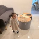 파스텔LC동물병원 | 병원/조리원 연계 스튜디오 무료 만삭사진 3번째 찍는...구매한 내돈내산 후기 : 서랍스튜디오(미가일산...