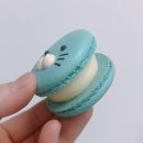앤마카롱 네이버블로그