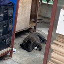 이층성장약국 이미지