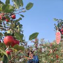 김세환 농장 이미지