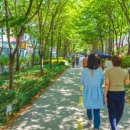 용산-이촌-586 이미지