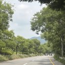 안성맞춤랜드공원13 이미지