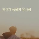 인간행동과사회환경 이미지