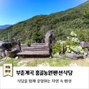 부춘농원 네이버블로그