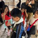 MTA베스트태권도 이미지