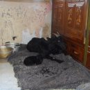 조규열농장 이미지