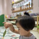 🐛🐛배고픈 애벌레🐛🐛 이미지
