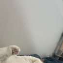 춘기농장 이미지