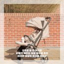 돌투 | 8개월 돌 전 아기랑 비행기 제주도 여행 필수템 추천...에일린 휴대용 유모차 기내반입 도어투도어 후기