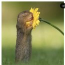 청명약국 | 젊어서는 고생을 사서 한다는데 굳이 사야할까?