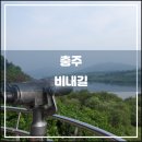 비내길 1구간 | 충주 비내길(2016.09): 포텐셜이 대단한 둘레길인데···