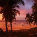 비치캐슬 이미지