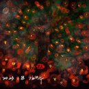 여전히 제주 이미지