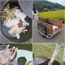 금소생태공원2 이미지