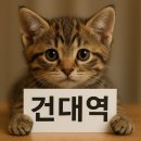 강남시니어플라자 공중화장실 | 건대입구역 커피문화 거리, 시니어 뚜벅이 전철 여행