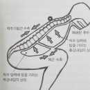 더 웰짐 이미지