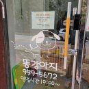 똥강아지애견샵 이미지