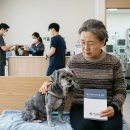 효자 동물병원 | [펫테크/가계부] 강아지 노령견 건강검진 비용 총정리 (호구 당하지 않는 현실 꿀팁)